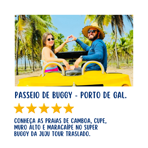 Passeios em Porto de Galinhas - Jujutour Traslado